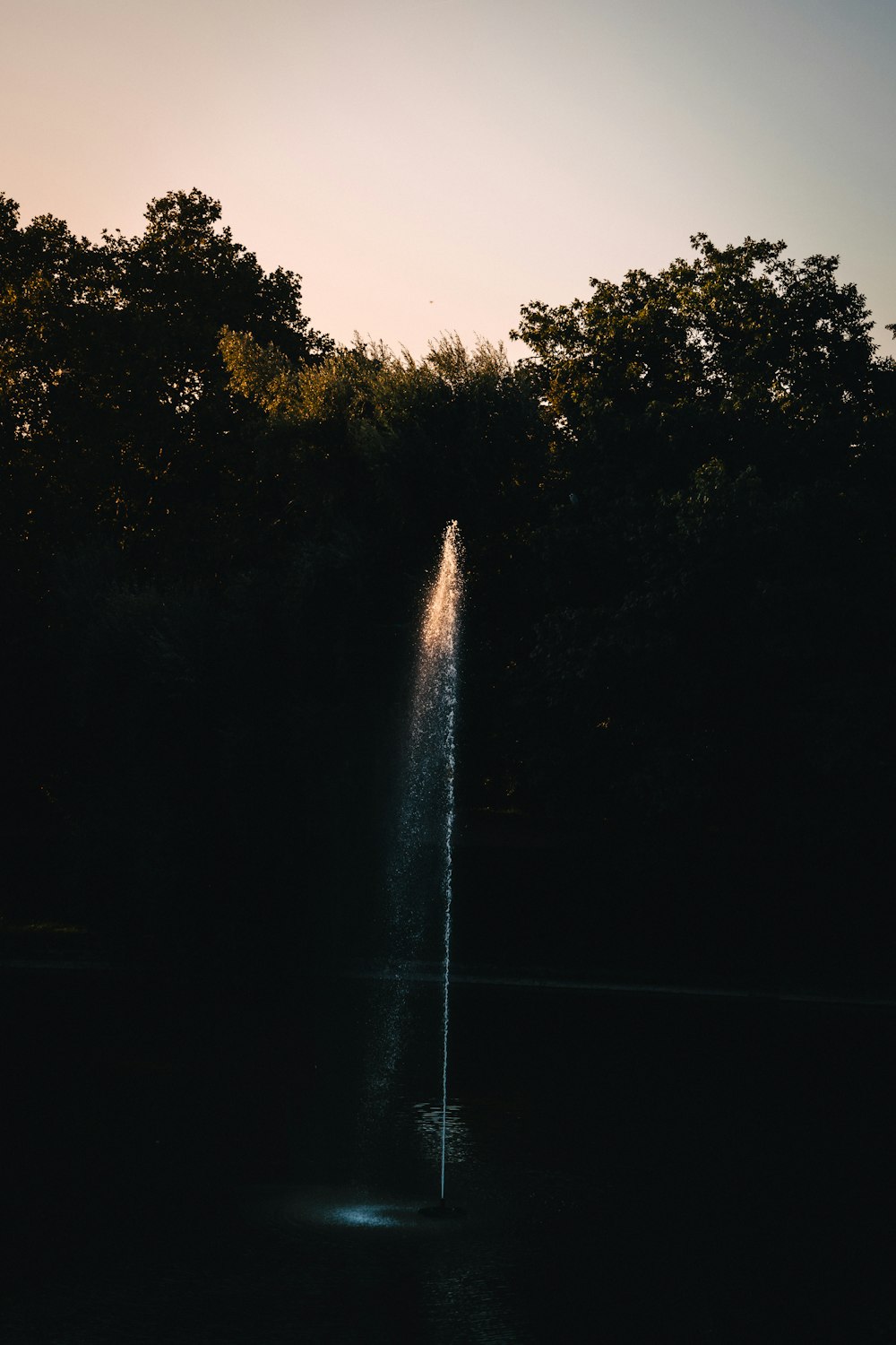 Fuente de agua en medio del bosque