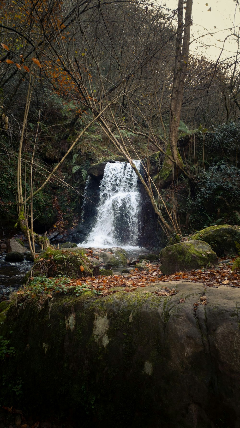 waterfalls in the middle of the forest