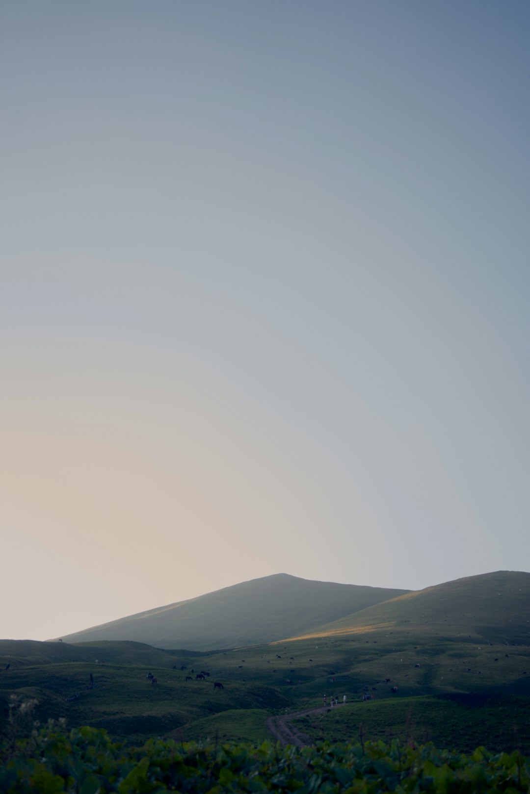 green mountains under white sky during daytime