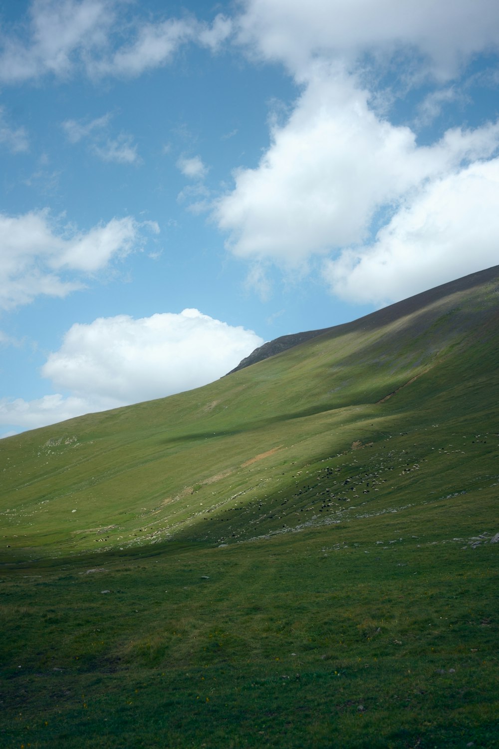 green mountain under blue sky during daytime