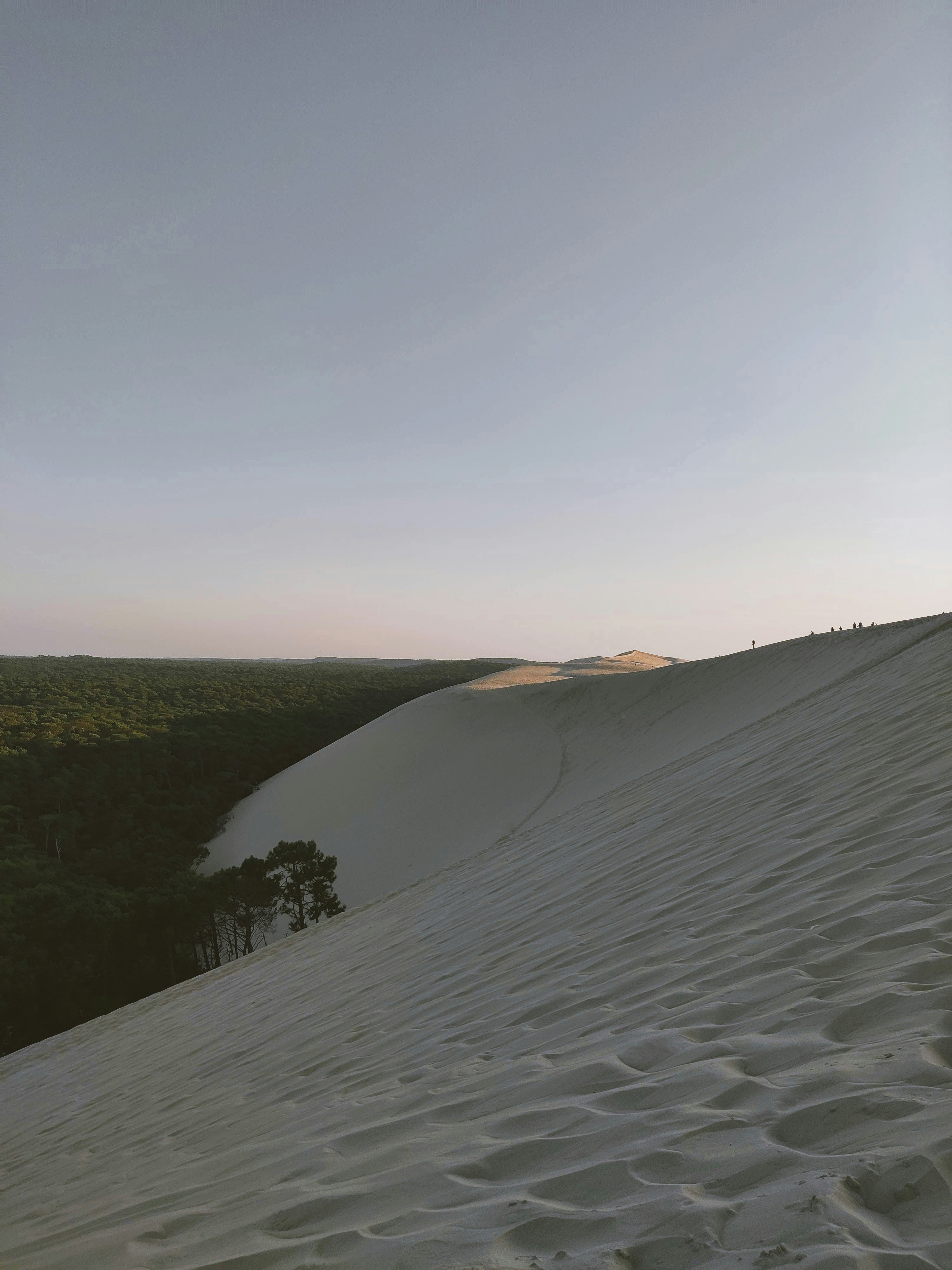 Yeagarup, Western Australia