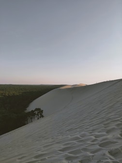 white sand and green grass field