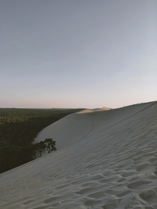 white sand and green grass field