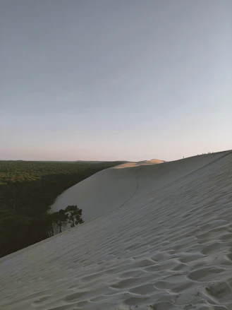 Découvrez Arcachon et son bassin avec Cap Horizon Conciergerie