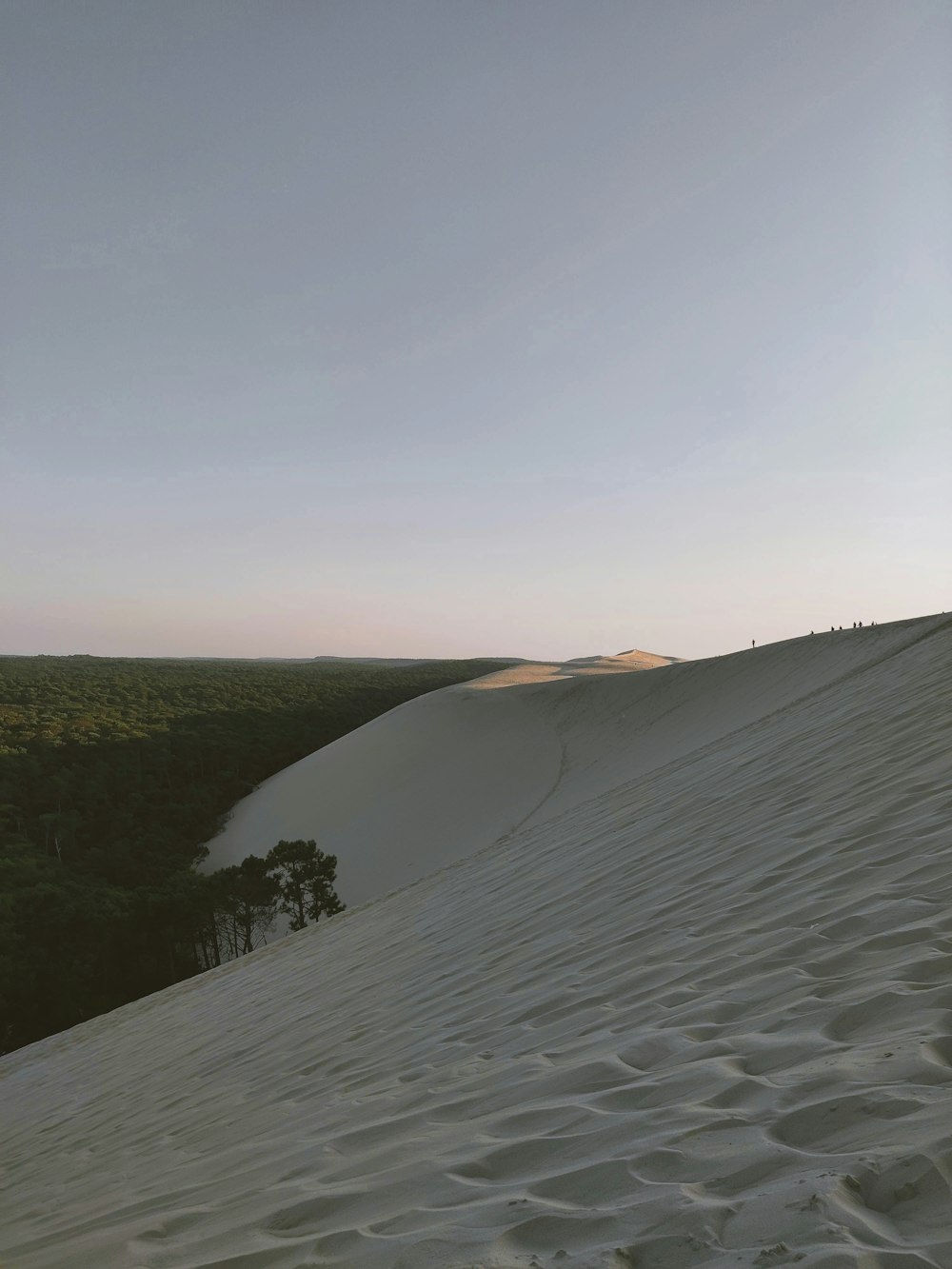 white sand and green grass field