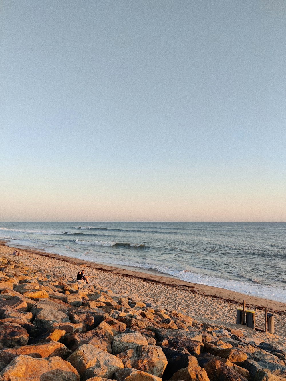 people on beach during daytime