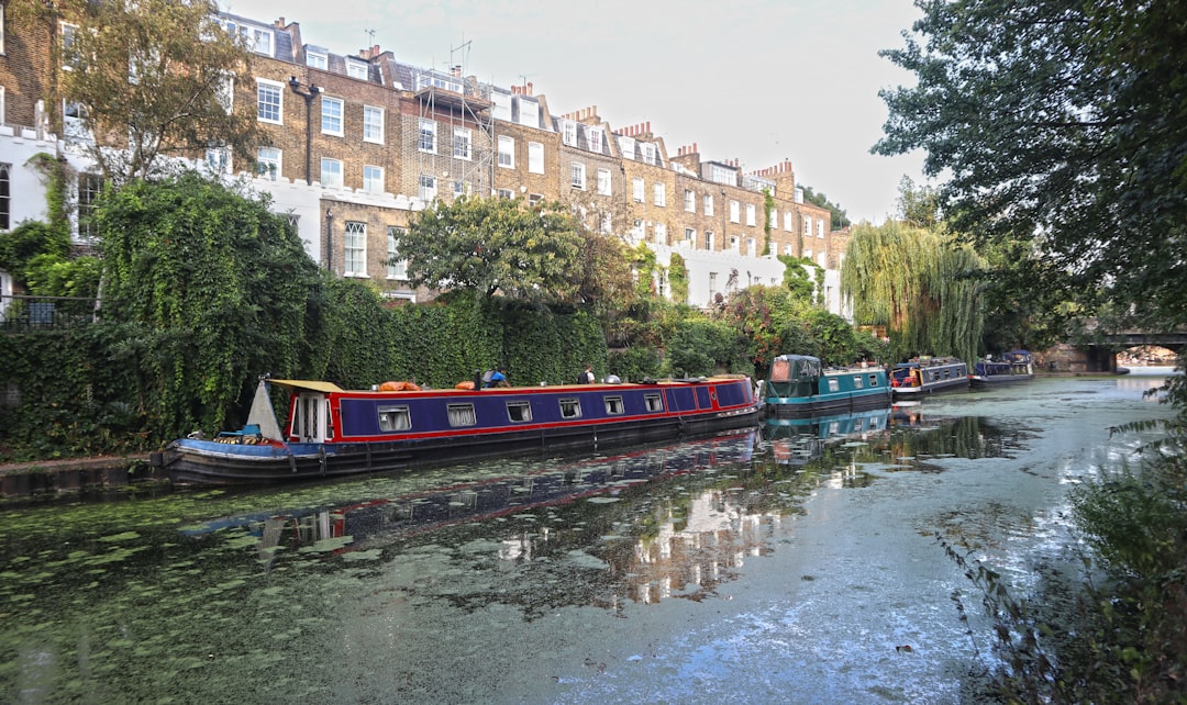 red and blue train on river near brown concrete building during daytime, Long Narrow Boats on Regent