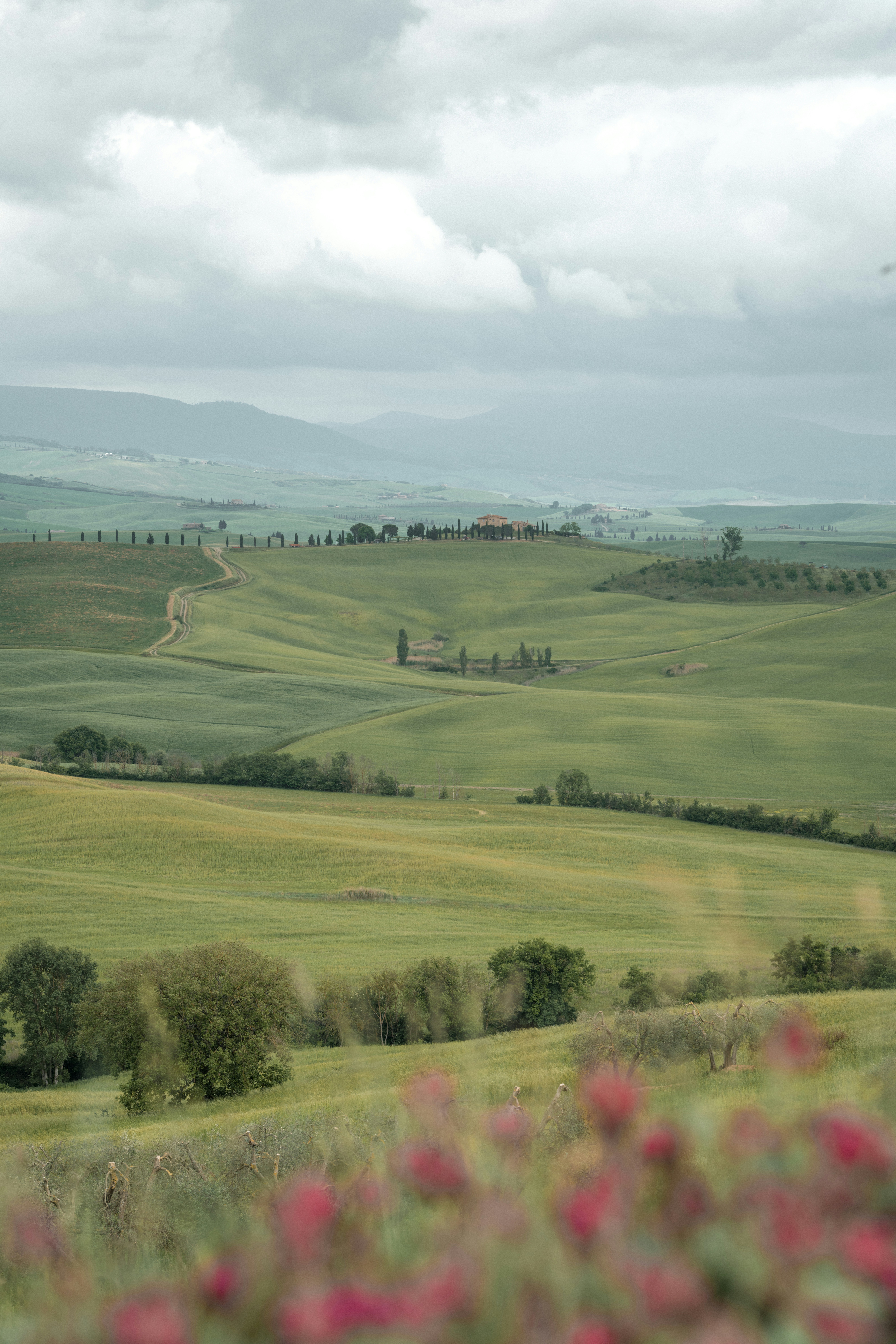 Photo by didiofederico_photographer