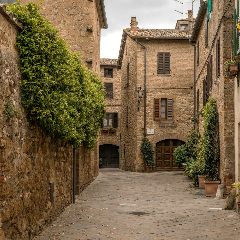 edificio in mattoni marroni con piante verdi sul lato