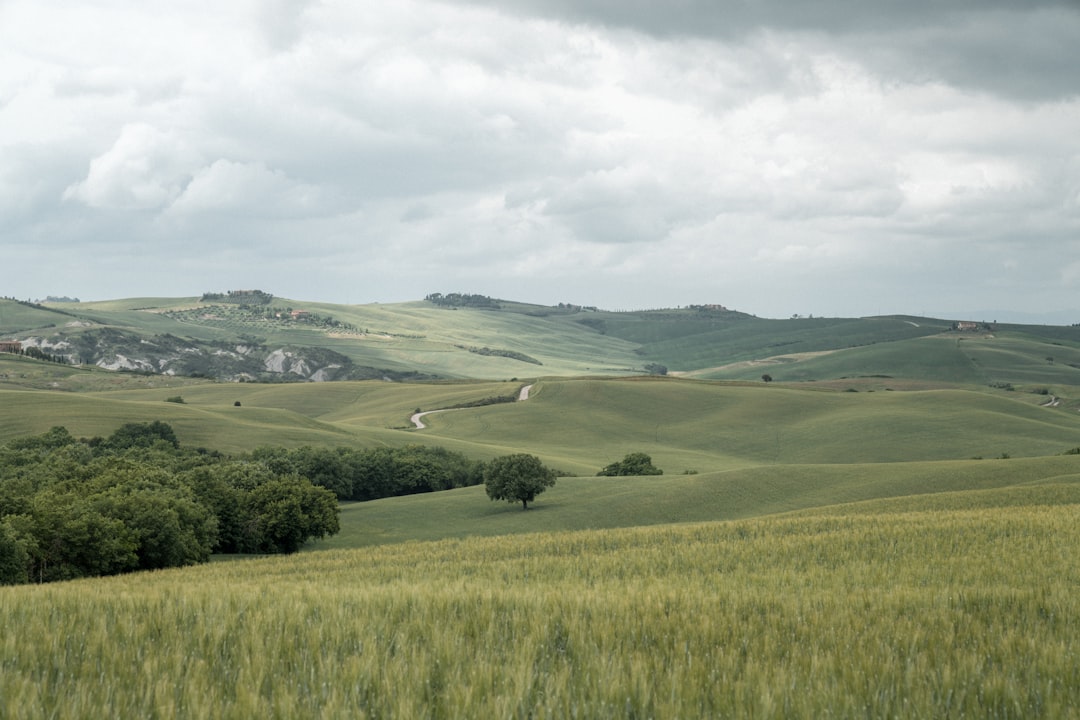 green grass field under white cloudy sky during daytime