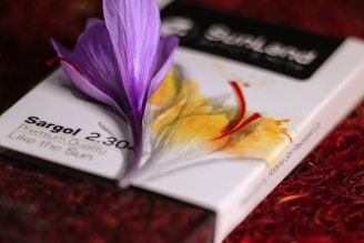 A close-up of a package labeled 'Sargol 2.30' featuring a vivid illustration of saffron flowers. Resting atop the package is a real saffron flower with vibrant purple petals and red stigmas, with a textured red background adding depth.