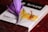 A close-up of a package labeled 'Sargol 2.30' featuring a vivid illustration of saffron flowers. Resting atop the package is a real saffron flower with vibrant purple petals and red stigmas, with a textured red background adding depth.