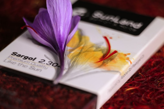 A close-up of a package labeled 'Sargol 2.30' featuring a vivid illustration of saffron flowers. Resting atop the package is a real saffron flower with vibrant purple petals and red stigmas, with a textured red background adding depth.