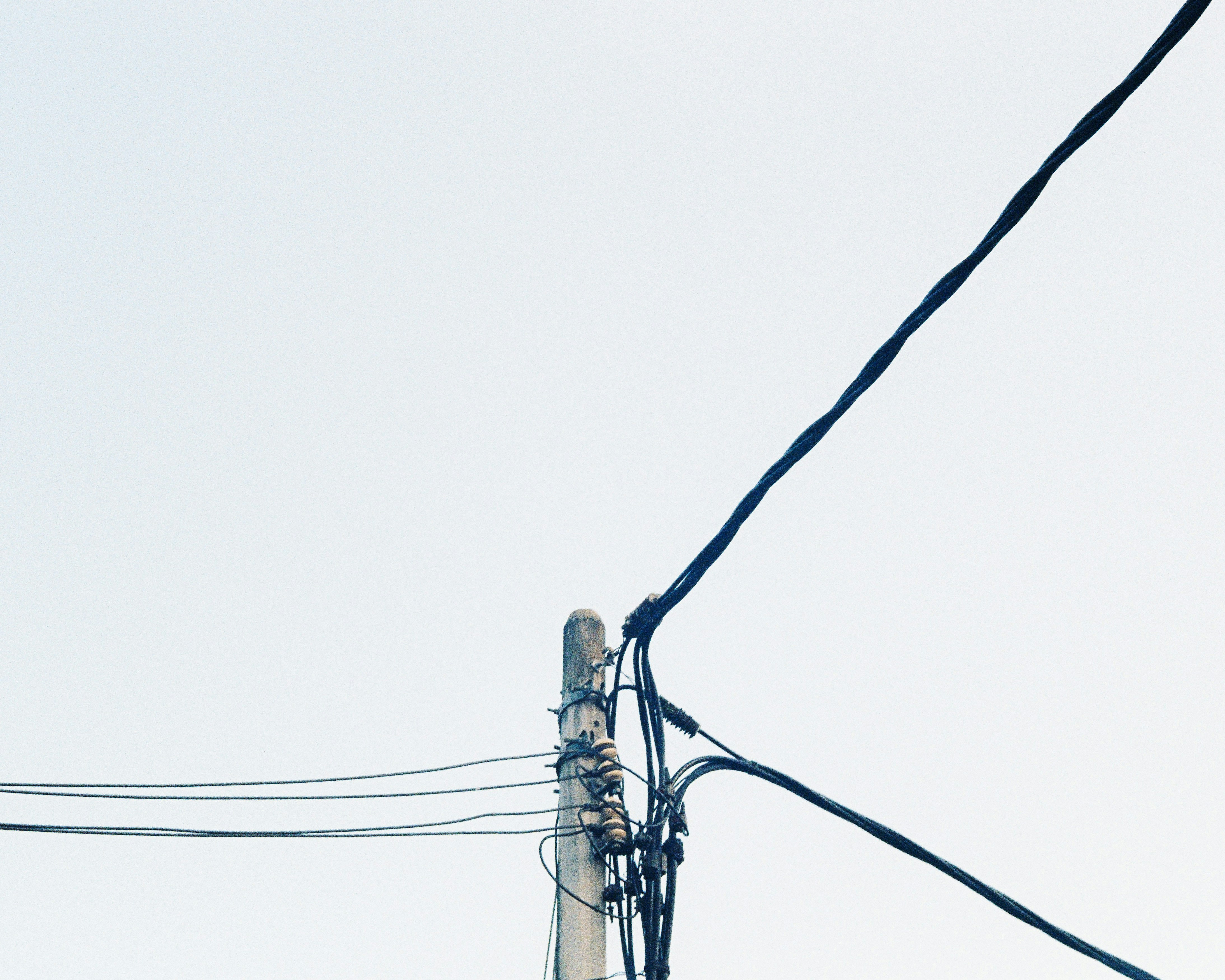 Photo by framedinframes