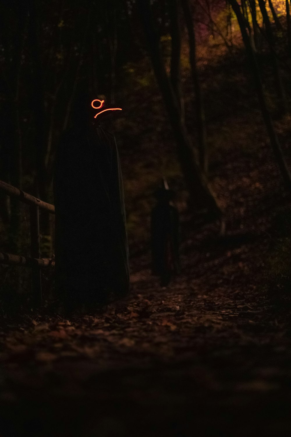 夜の森に立つ人のシルエット