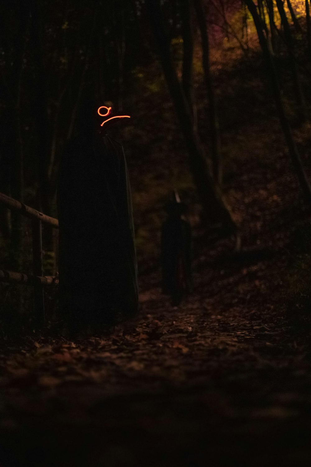 silhouette of person standing on forest during night time