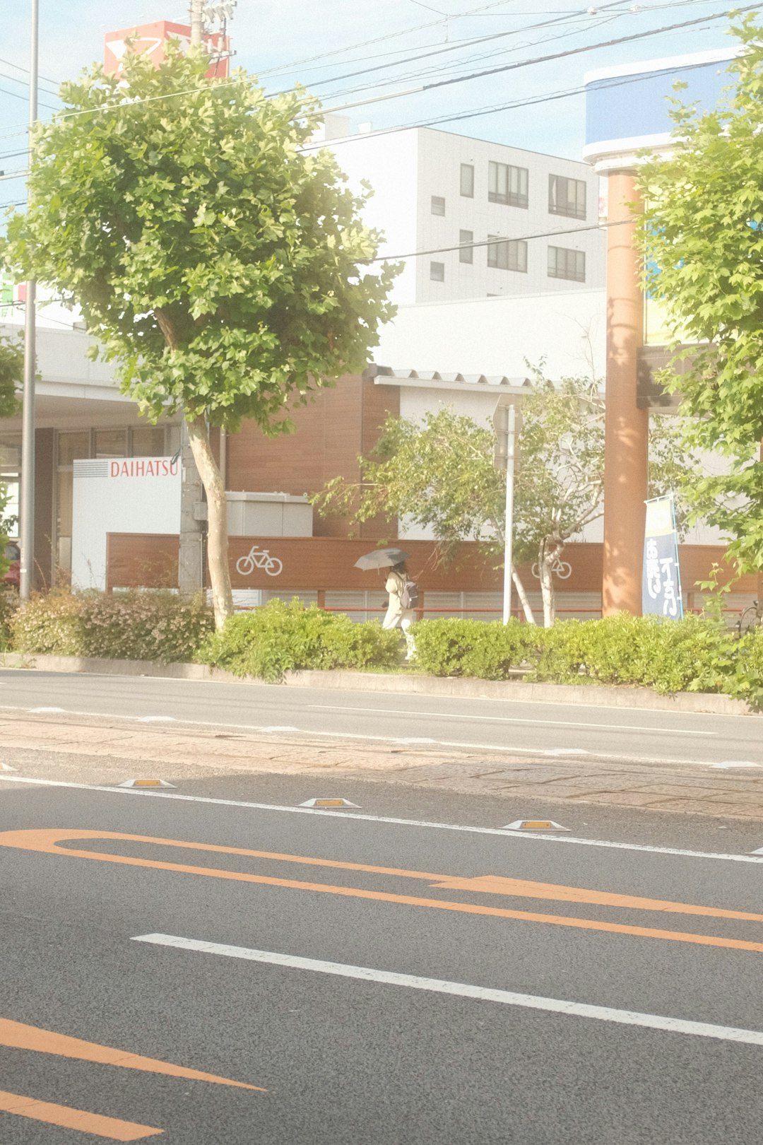 green tree beside brown concrete building during daytime