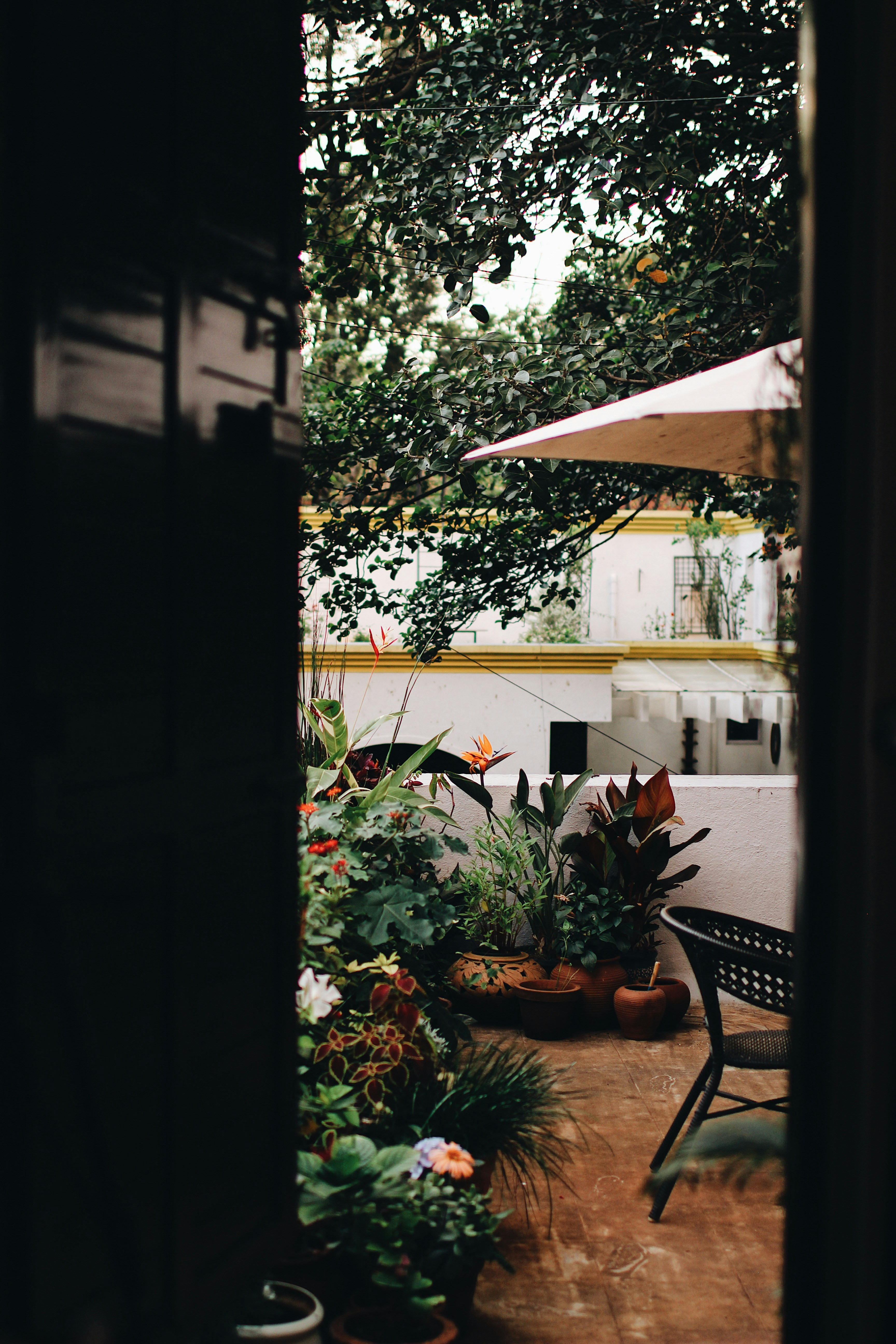 Photo by freshlyminted