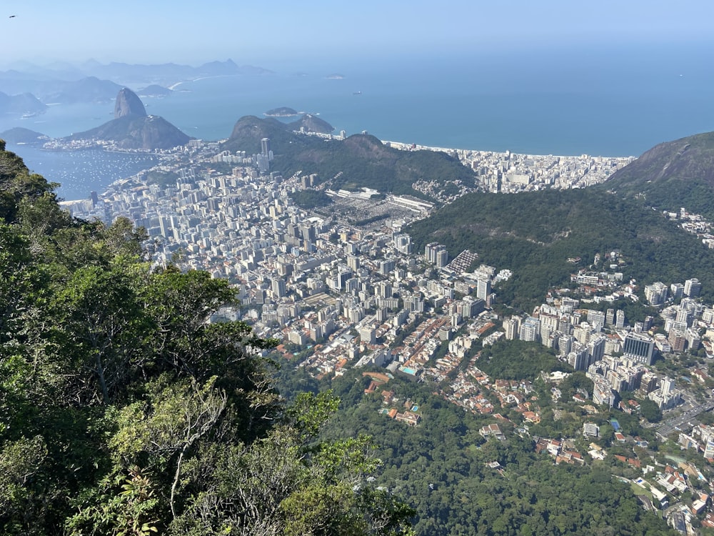 aerial view of city buildings during daytime