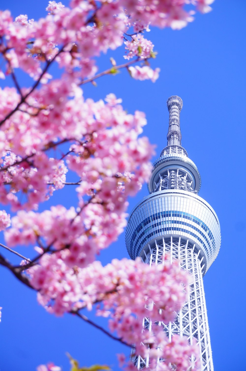 weißer und blauer Turm tagsüber unter blauem Himmel