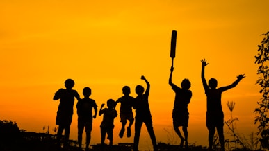 silhouette of people standing on grass field during sunset