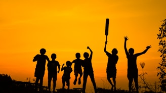 silhouette of people standing on grass field during sunset