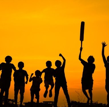 silhouette of people standing on grass field during sunset