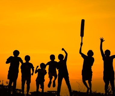 silhouette of people standing on grass field during sunset