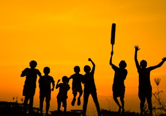 silhouette of people standing on grass field during sunset