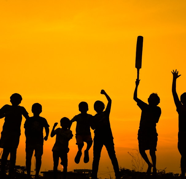 silhouette of people standing on grass field during sunset