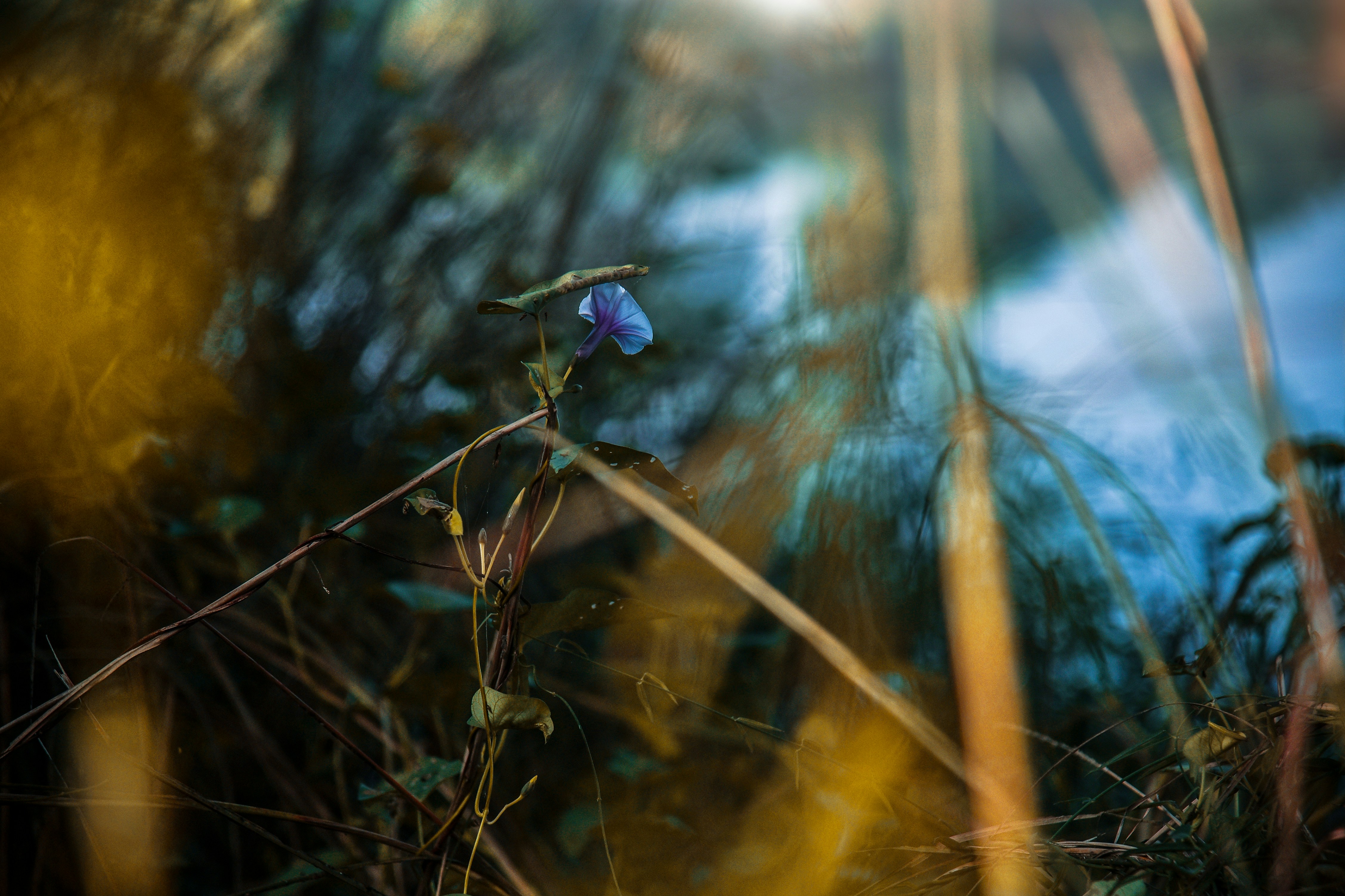 Photo by vickyadams_007