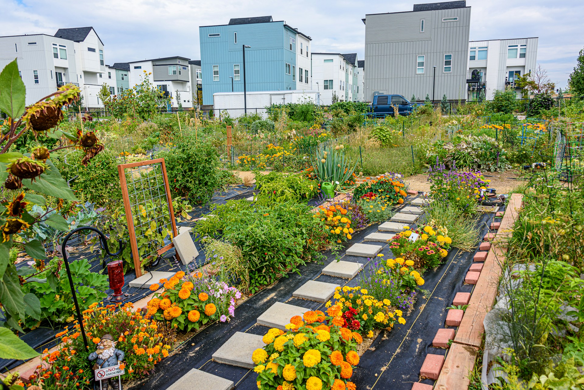 Digital Community Gardens
