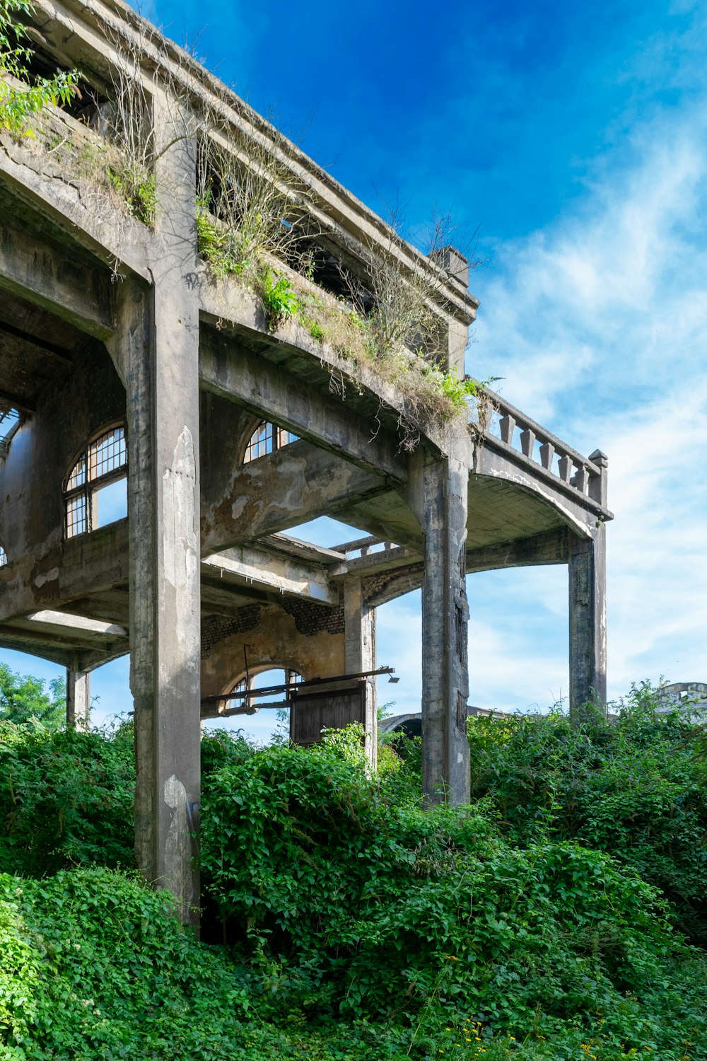 gray concrete bridge over green trees during daytime