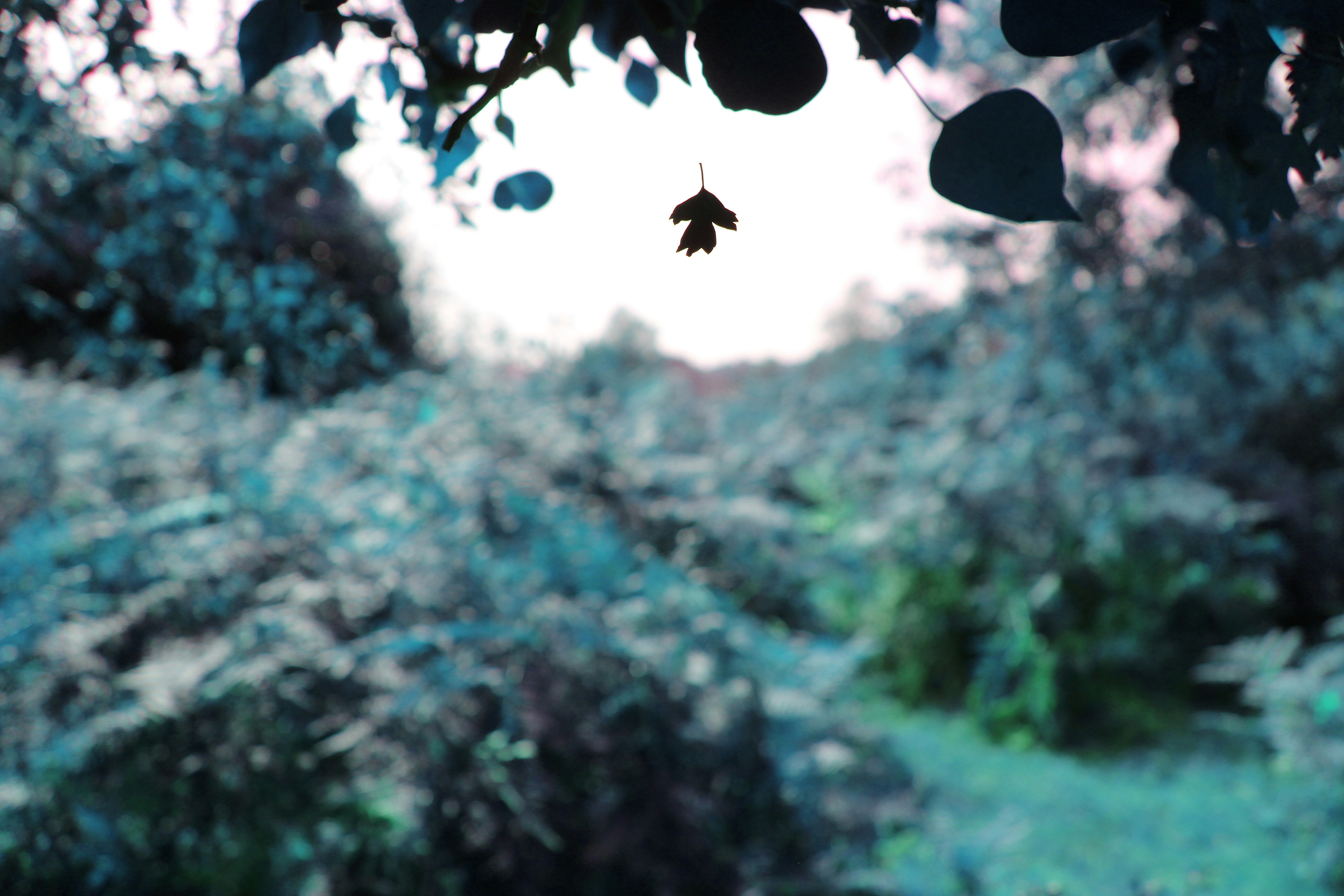 Photo by taketwentysix