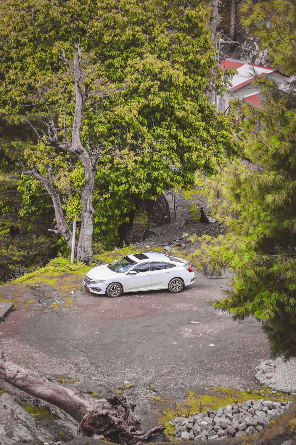 white sedan parked near green trees during daytime