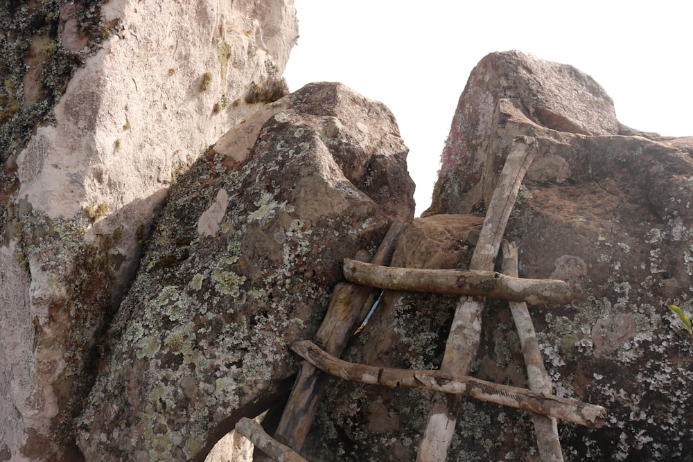 brown wooden ladder on brown rock