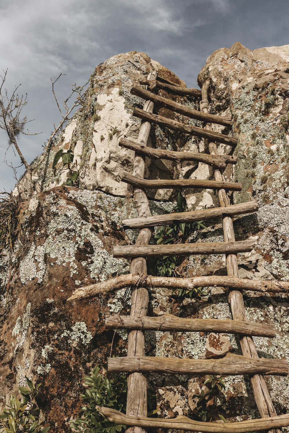 brown wooden fence on gray rock