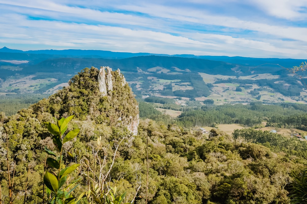 green trees on mountain near body of water during daytime