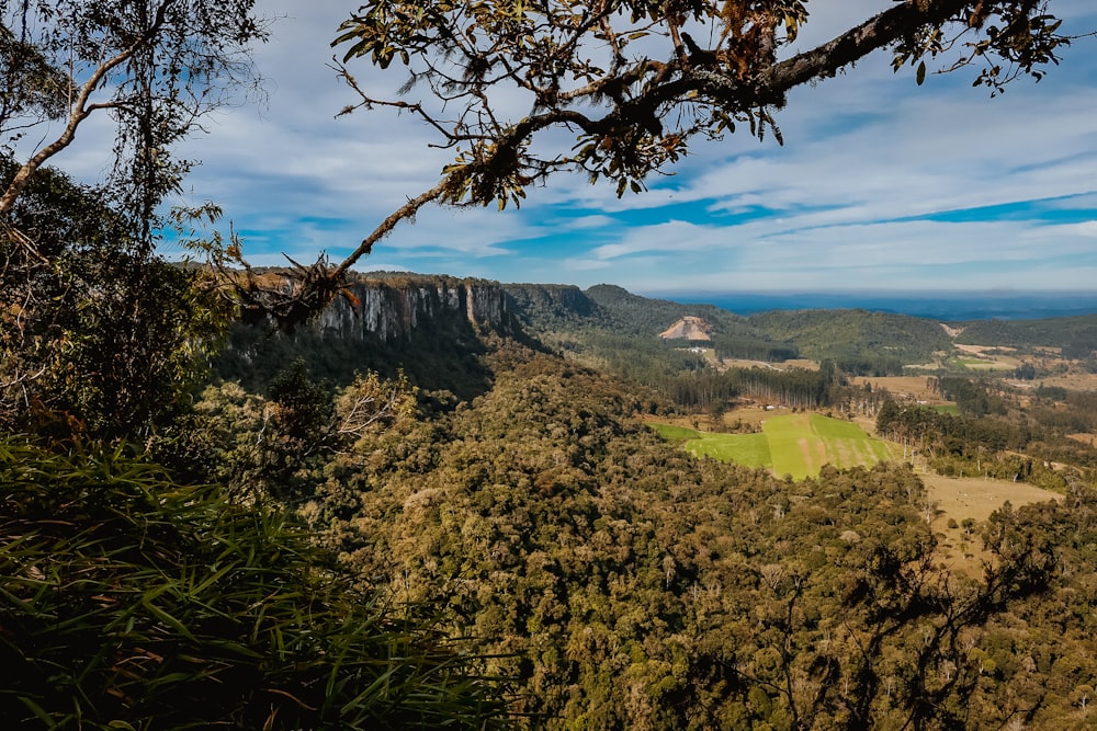 green trees on mountain under blue sky during daytime