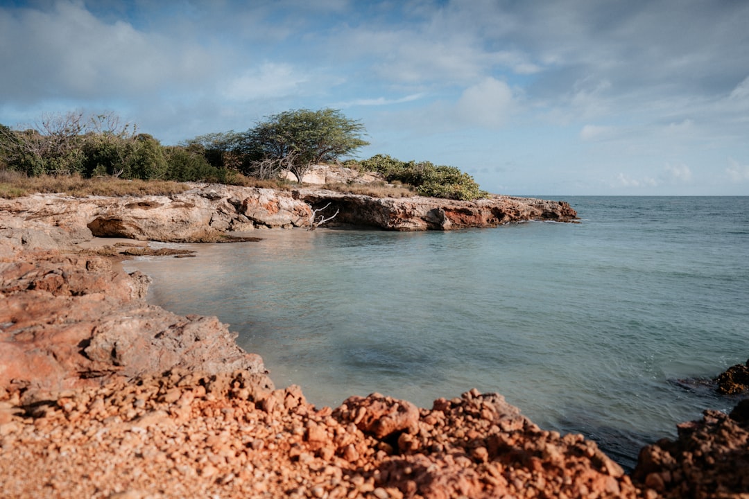 brown rock formation near body of water during daytime