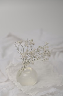 Elegant flower vase with balanced composition on a pure white backdrop