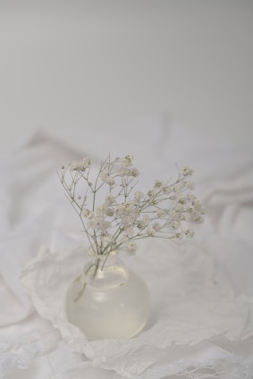 Elegant flower vase with balanced composition on a pure white backdrop