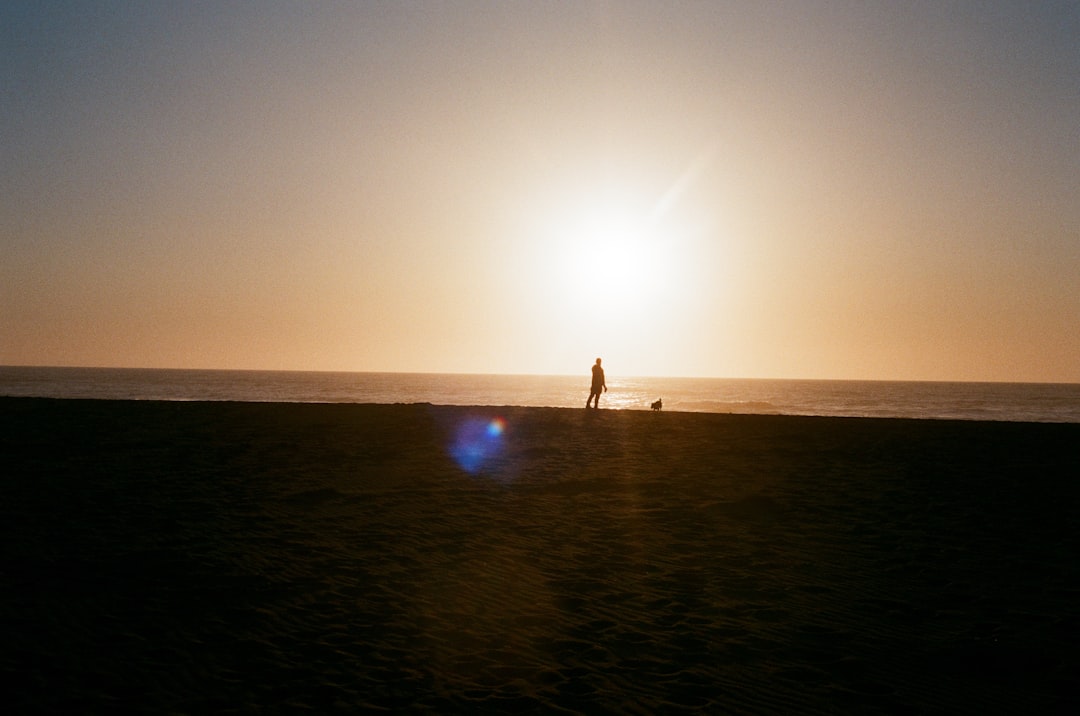 person in black shirt walking on beach during sunset