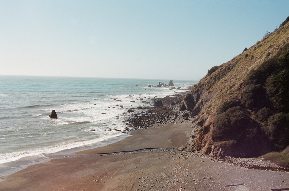 brown rocky shore near body of water during daytime