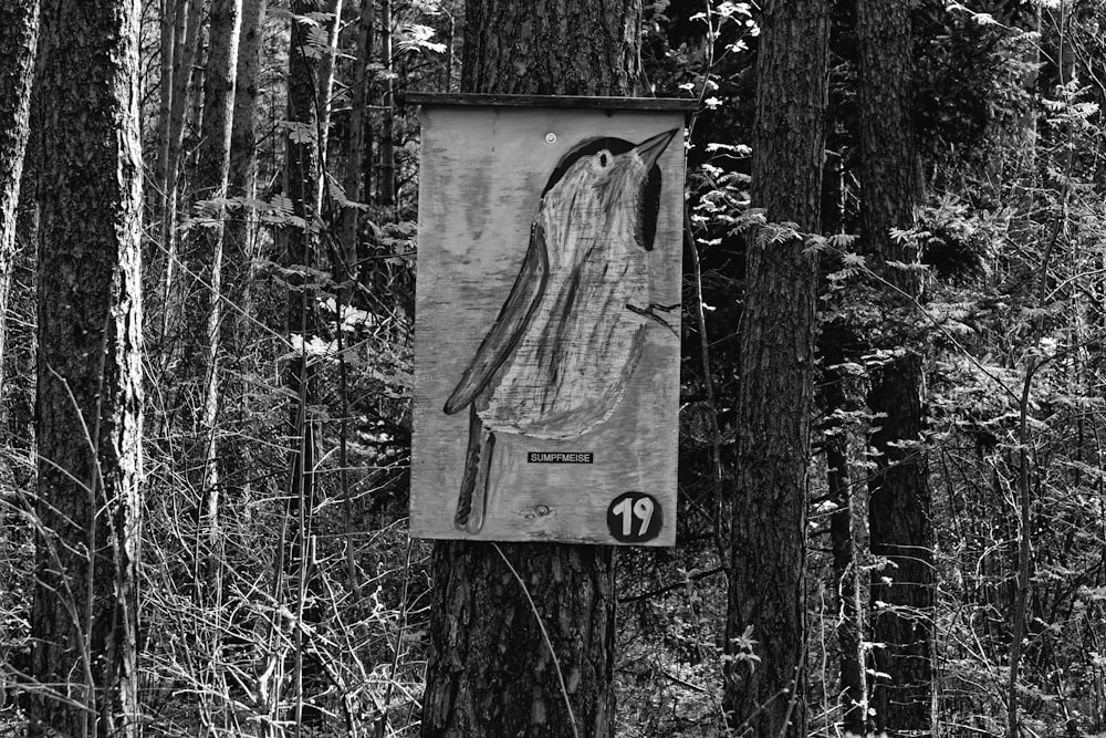 foto in scala di grigi di segnaletica in legno