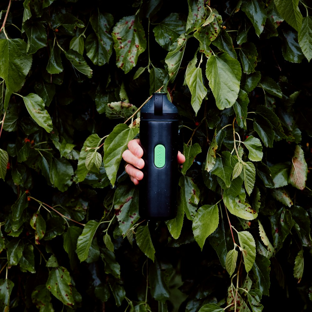 black and blue water bottle on green leaves