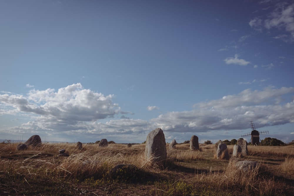 Campo de hierba marrón bajo el cielo azul durante el día