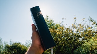 A hand holds up a black book labeled 'Bibel' against a bright sky. The sunlight creates a halo effect around the top of the book, while trees with green and yellow leaves provide a natural backdrop.