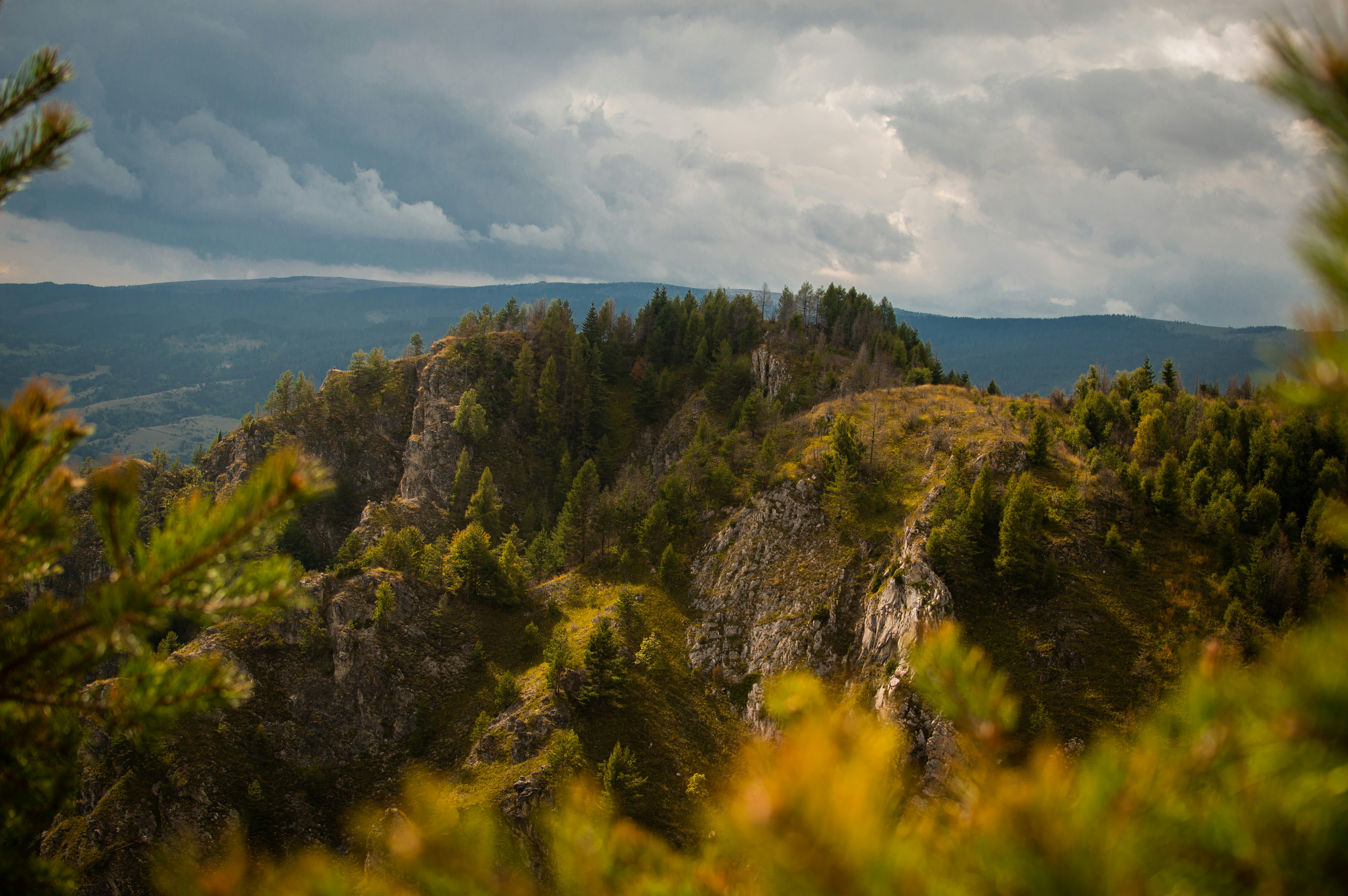 green trees on hill under white clouds and blue sky during daytime
