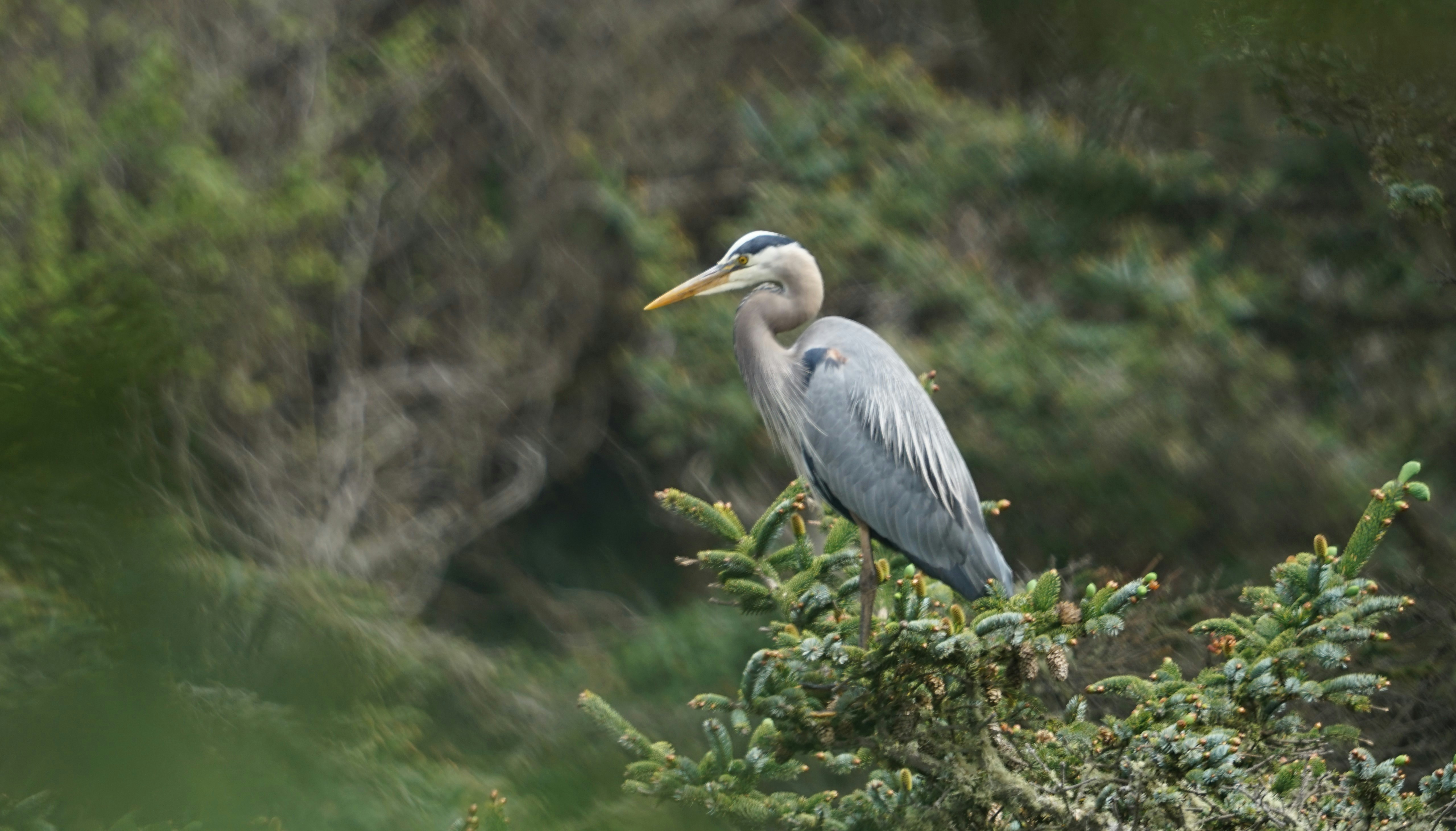 Photo by wolframburner